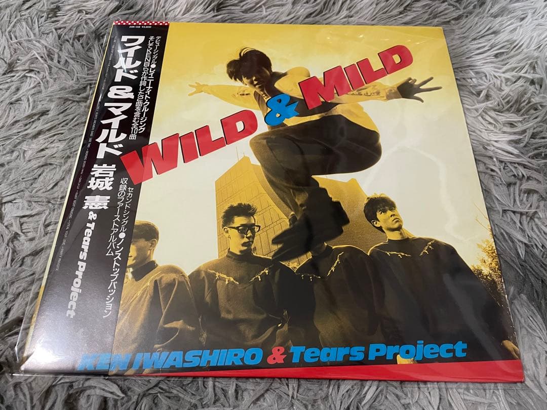 岩城憲 WILD & MILD LP