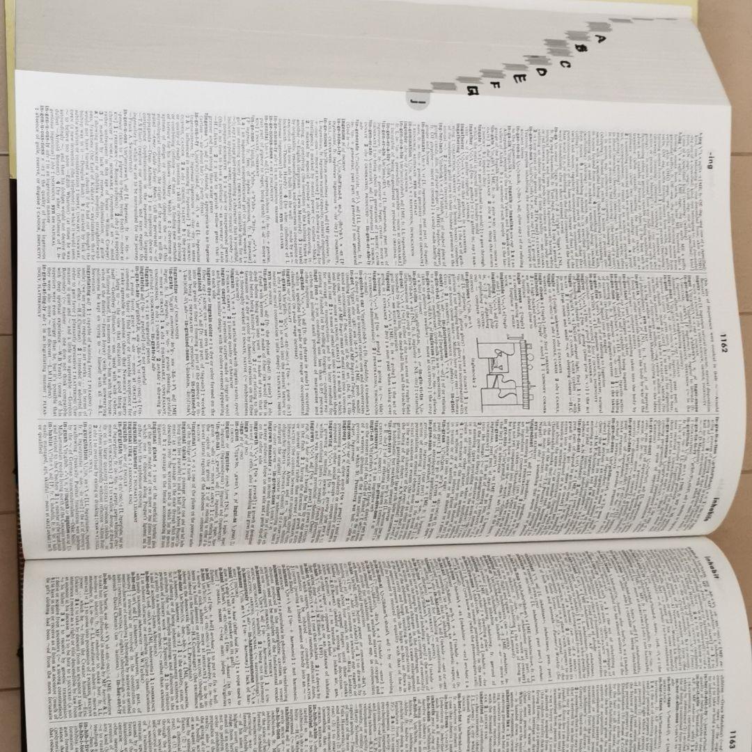 webster's international dictionary 英英辞典