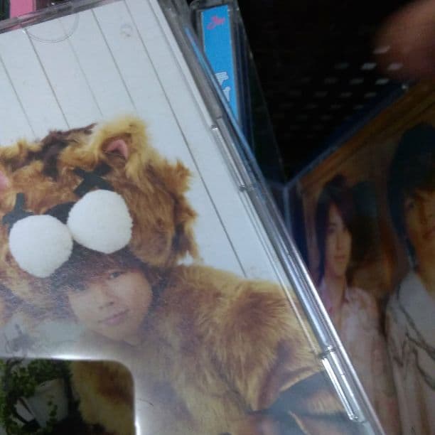 猫中毒
