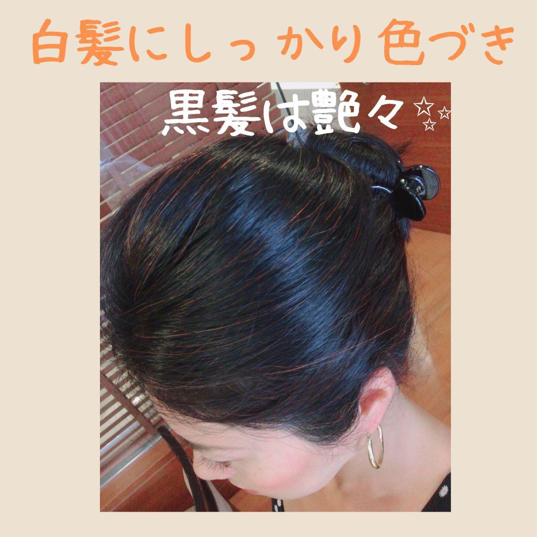 Y品【最高AAAランク高品質ヘナ】ヘナ白髪染め　オレンジ300g
