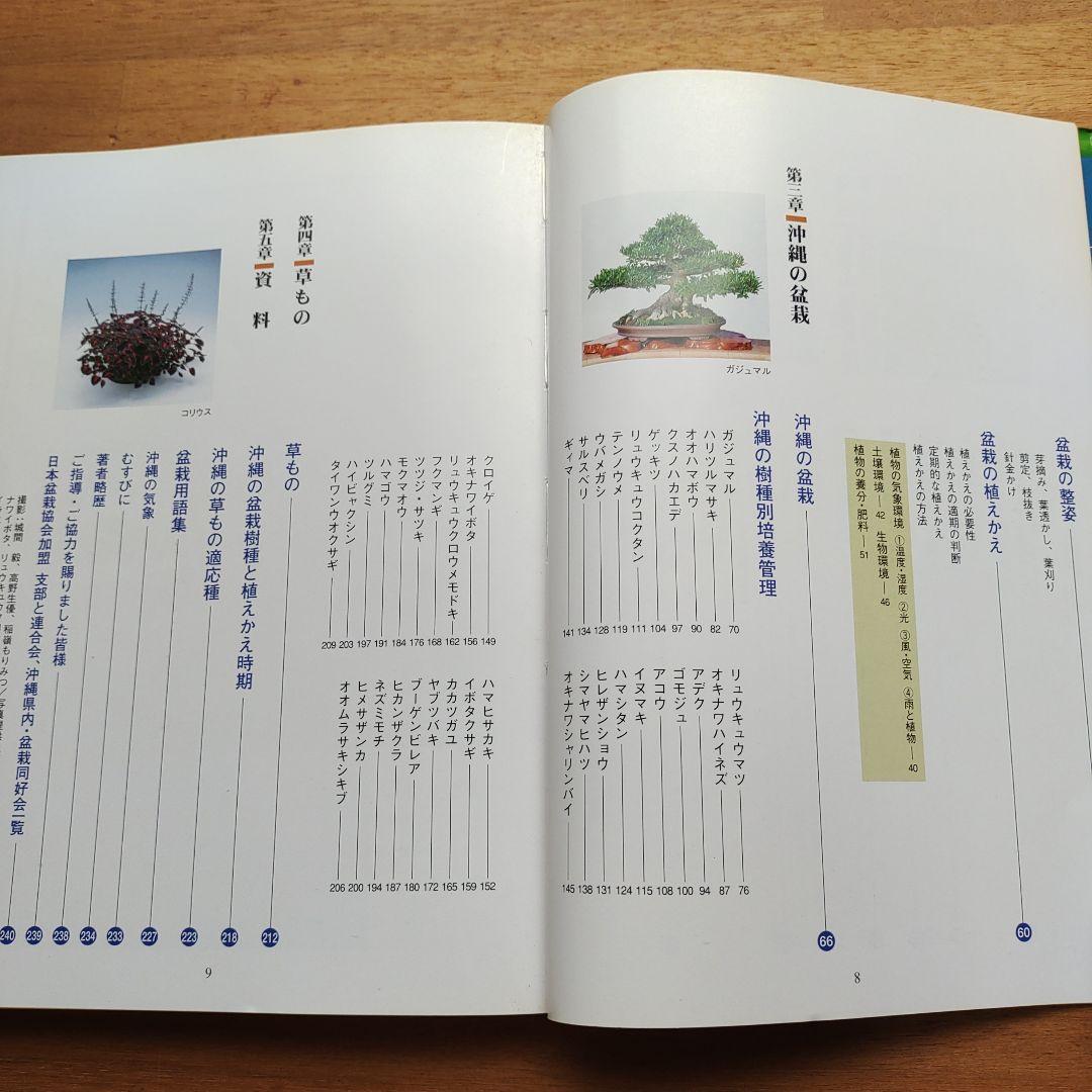楽しい沖縄の盆栽づくり