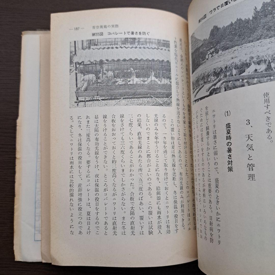 自然を生かした養鶏方